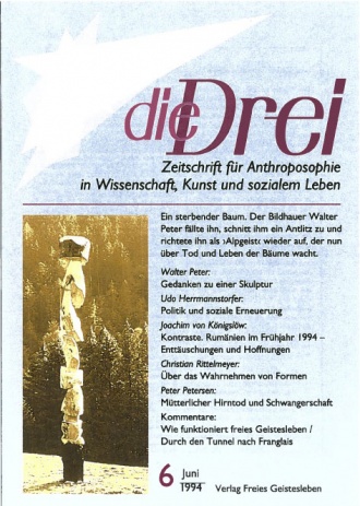 die-Drei - anthroposophisches Fachblatt - Heft 6, 1994 - 