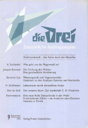die Drei - Zeitschrift für Anthroposophie - Heft 9, 1991