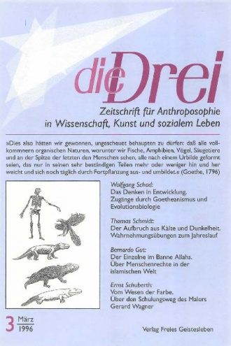 die-Drei - anthroposophisches Fachblatt - Heft 3, 1996 - 