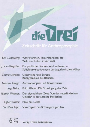 die Drei - Zeitschrift für Anthroposophie - Heft 6, 1993