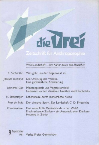 die-Drei - anthroposophisches Fachblatt - Heft 9, 1991 - 