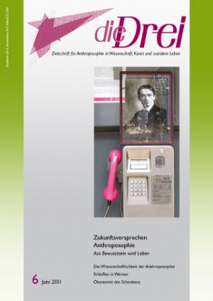 die Drei - Zeitschrift für Anthroposophie - Heft 6, 2011