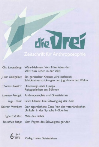 die-Drei - anthroposophisches Fachblatt - Heft 6, 1993 - 