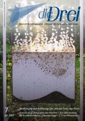 die Drei - Zeitschrift für Anthroposophie - Heft 7, 2007