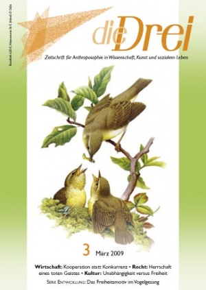 die Drei - Zeitschrift für Anthroposophie - Heft 3, 2009