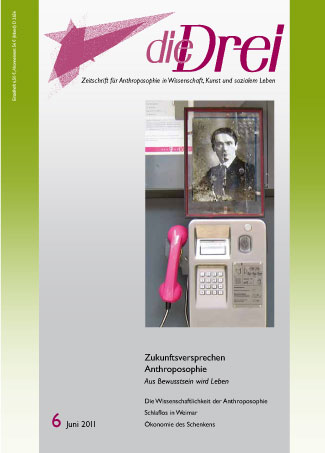 die-Drei - anthroposophisches Fachblatt - Heft 6, 2011 - 